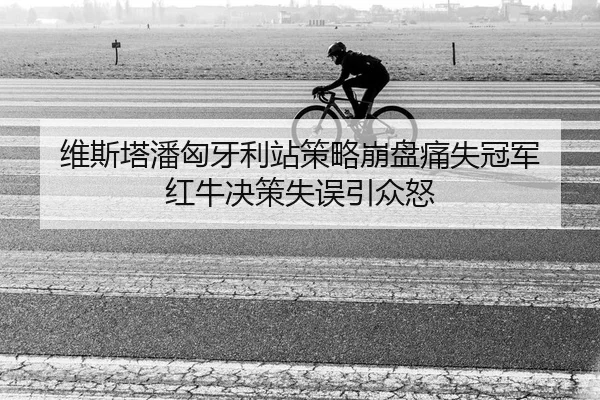 维斯塔潘匈牙利站策略崩盘痛失冠军 红牛决策失误引众怒